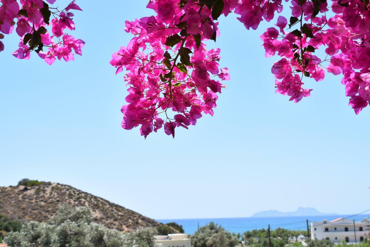 Porto Galini Hotell Agia Galini Exteriör bild